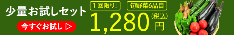 お試しセットの広告