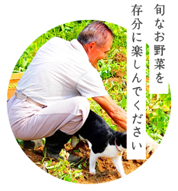 旬なお野菜を存分に楽しんでください