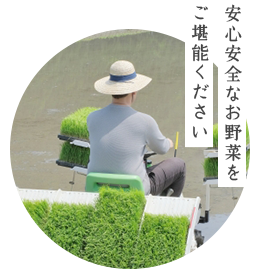 安心安全なお野菜を、ご堪能ください
