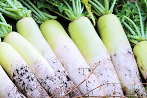 無農薬野菜